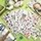 Patchwork Precuts Bundle Multicolor Supplies for Holiday DIY Sewing Craft